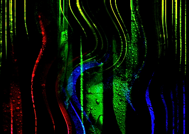 Warm colors in winter