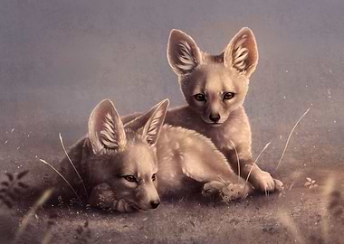 Kit Fox Pups