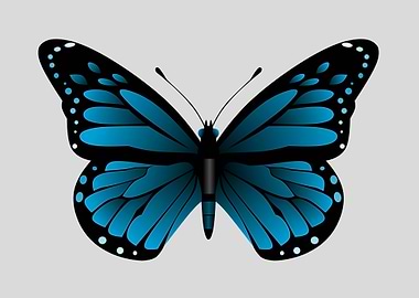 Poster for lepidopterist