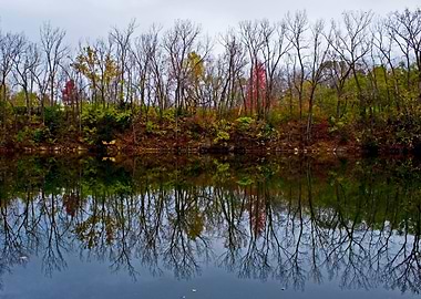 Reflections in water