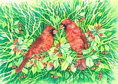 Cardinals on holly