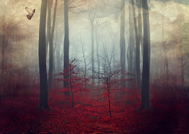 Threshold of a Dream