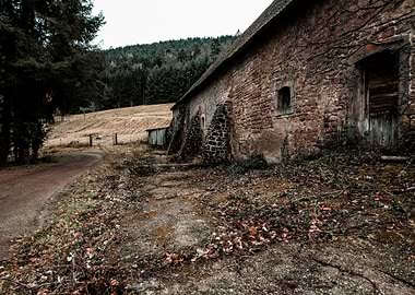 Ruins of Niedermunster