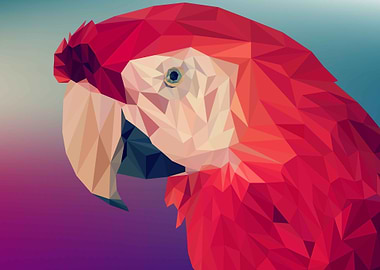 Abstract Red Parrot