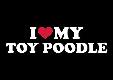 Toy Poodle