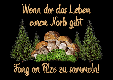 Steinpilz Pilzsammler Witz