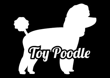 Toy Poodle