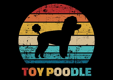 Toy Poodle