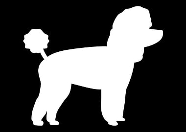 Toy Poodle