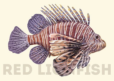 Red LionFish