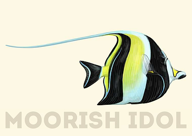 Moorish Idol Fish