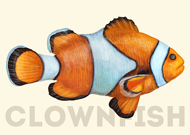 ClownFish