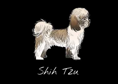 Shihtzu