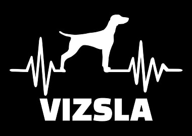 Vizsla
