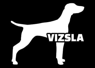 Vizsla