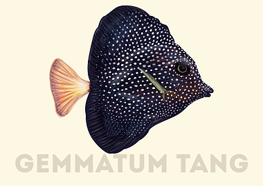 Gemmatum Tang Fish