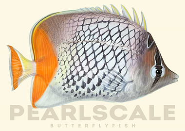 PearlScale Butterfly Fish