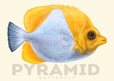 Pyramid Butterfly Fish