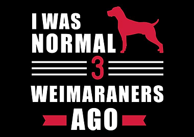 Weimaraner