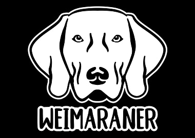 Weimaraner