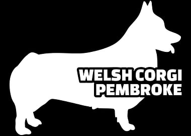 Welsh Corgi Pembroke