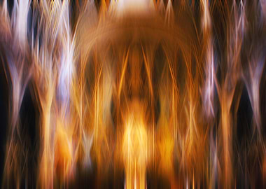 Cathedral Illusion 13