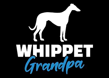 Whippet
