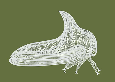 Treehopper Animal Ink Art