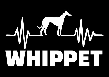 Whippet