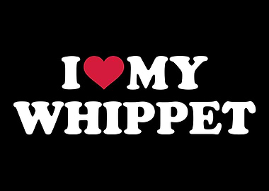 Whippet