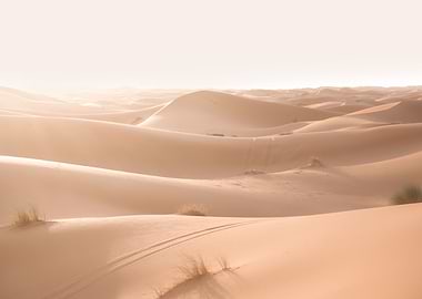 Sahara Desert Morocco
