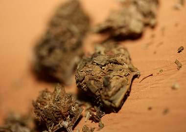 Super lemon haze CBD macro