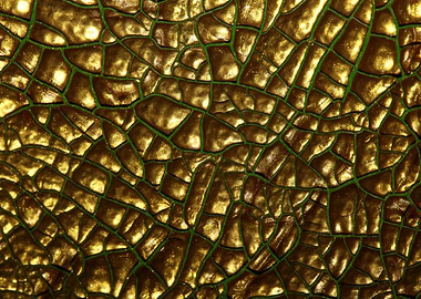 Golden cracked paint macro