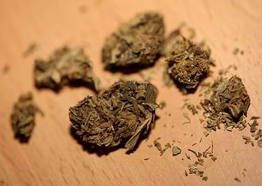 Super lemon haze CBD macro