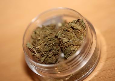 Super lemon haze CBD macro