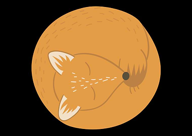 Fox Foxes Sleep Sleeping W