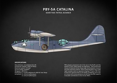 The PBY Catalina