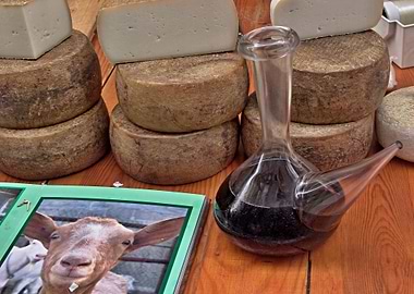 Goat Cheese stilllife