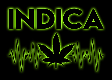 Cannabis Weed Marihuana