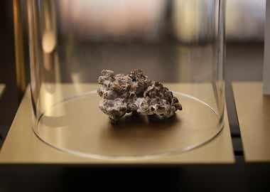 Amsterdam city tripping