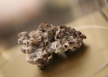 Amsterdam city tripping