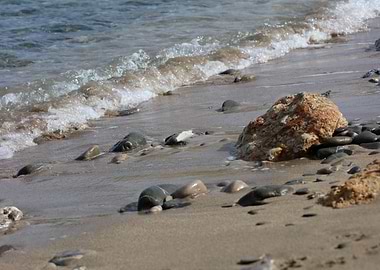 Xerokampos beach Creta