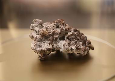 Amsterdam city tripping