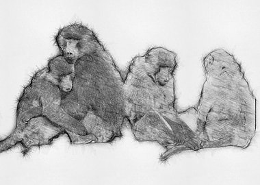 Monkey Pencil Drawing Art