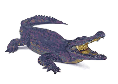 Large crocodile open mouth