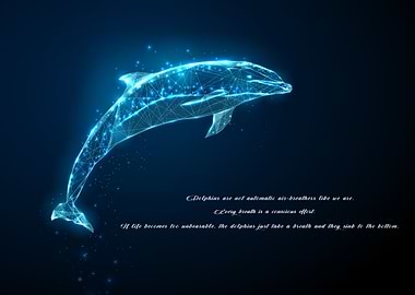 Dolphin