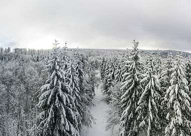 Fantastic winter landscape