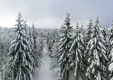 Fantastic winter landscape
