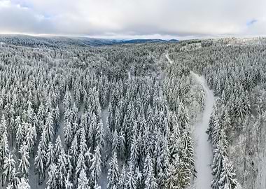 Fantastic winter landscape