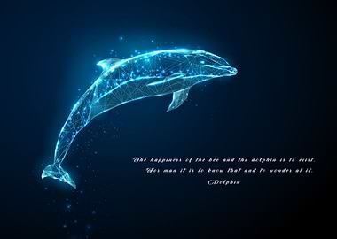Dolphin